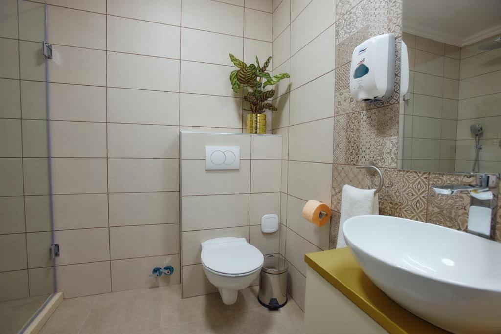 Hotel Imperium Botiz Ngoại thất bức ảnh